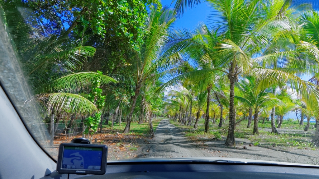 10 - Puerto Jimenez (3).jpg